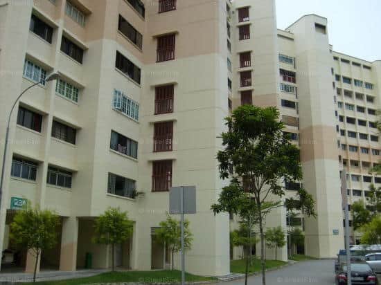 212-Jurong-East-Street-21